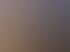 Palmen vor einem orange-lila Sonnenuntergang über dem Meer.