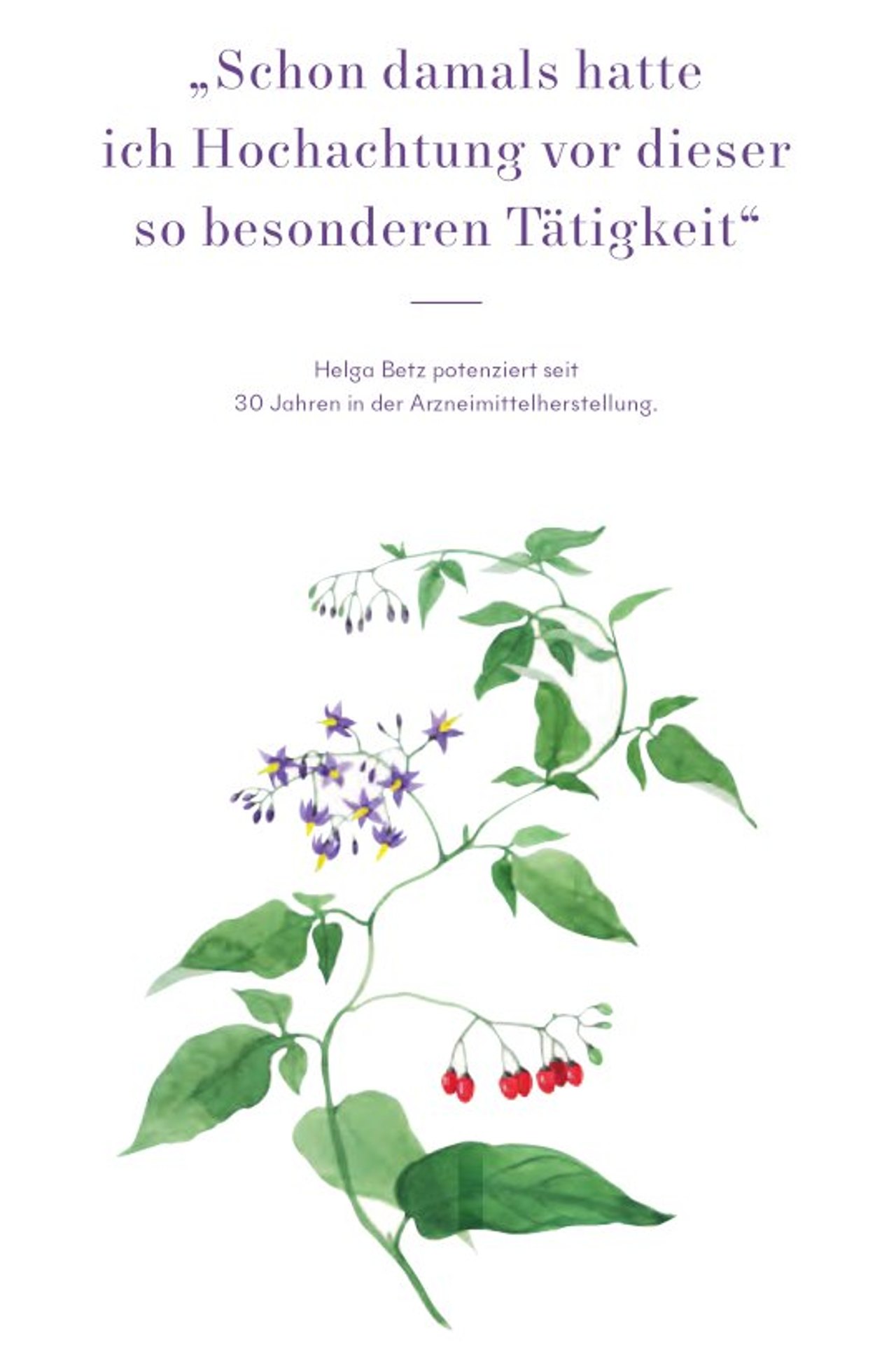 Die Herstellung.