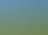 Gepflegter grüner Garten mit Rasen, Hecken und Ziergräsern vor einer Wohnsiedlung mit Photovoltaikanlagen unter blauem Himmel.