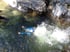 Person in blauem Neoprenanzug schwimmt in einem felsigen Fluss.