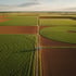 Regenerative agriculture