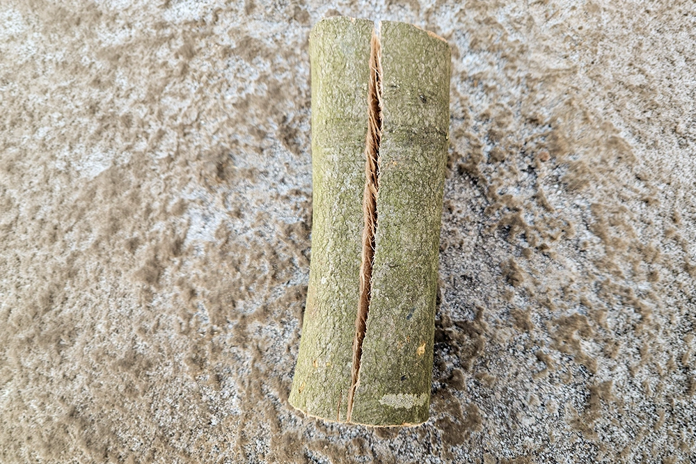 Rundholz Roteiche getrocknet