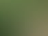 Eine Person spült sich unter einem Gartenschlauch mit Brausekopf die Haare.