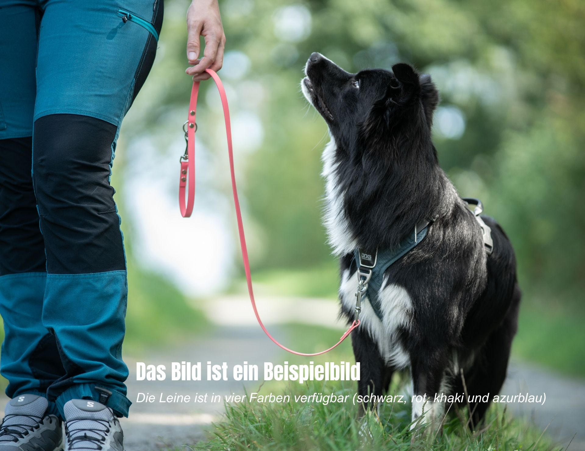 Pfoten Academy Führleine 1,07m – Bild 6