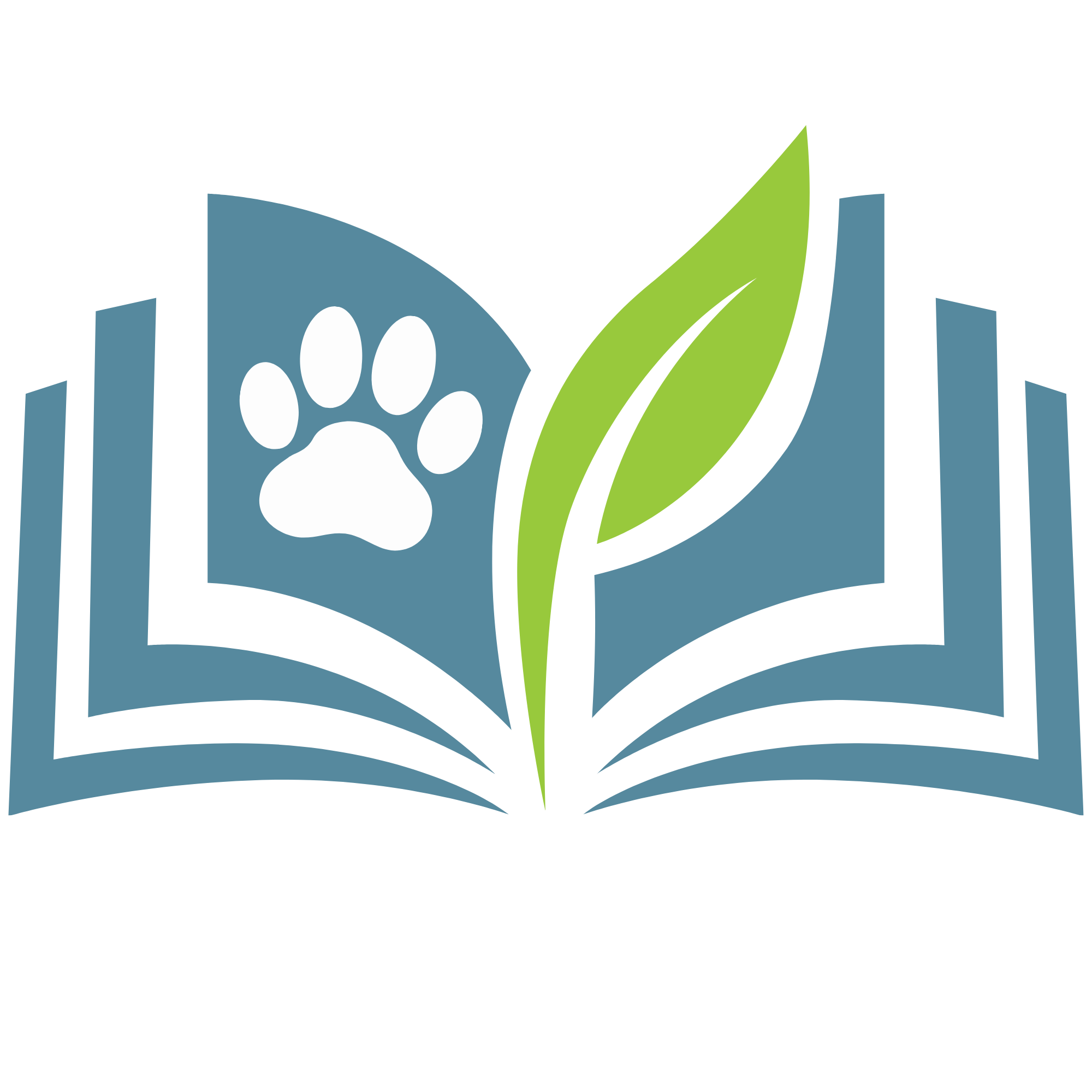 Nur Logo Akademie.png