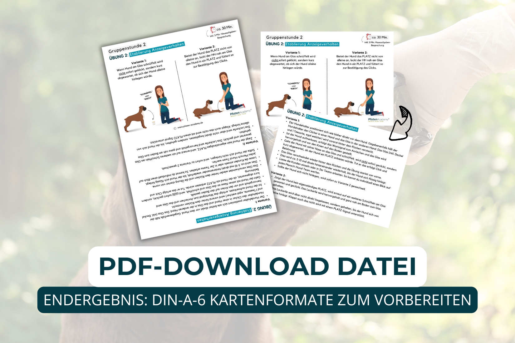6-wöchiger Nasen Ninja Kurs – Bild 7
