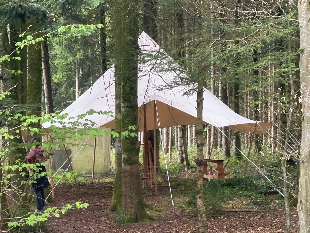 Sonnensegel mitten im Wald zwischen Tannen