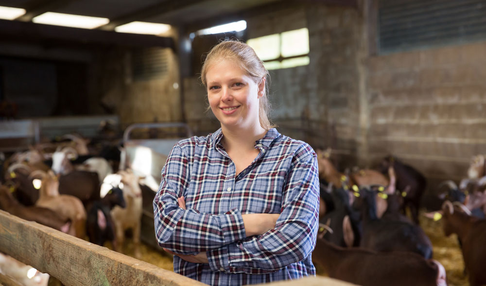 Angestellte Landwirtschaft Versicherung