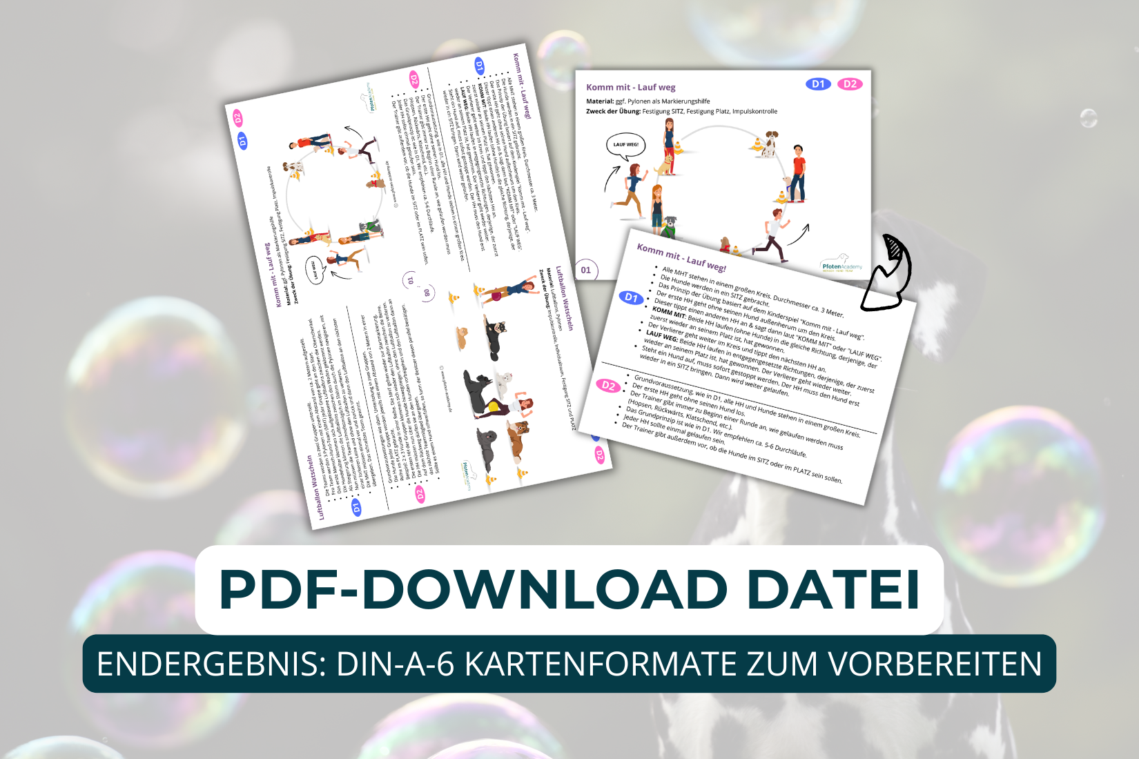 Übungskonzept Impulskontrolle – Bild 3