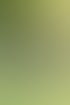 Eine Frau hockt neben einem Hund auf Gras und hält ein Zertifikat mit der Aufschrift „Teilnahmebescheinigung“ in den Händen.