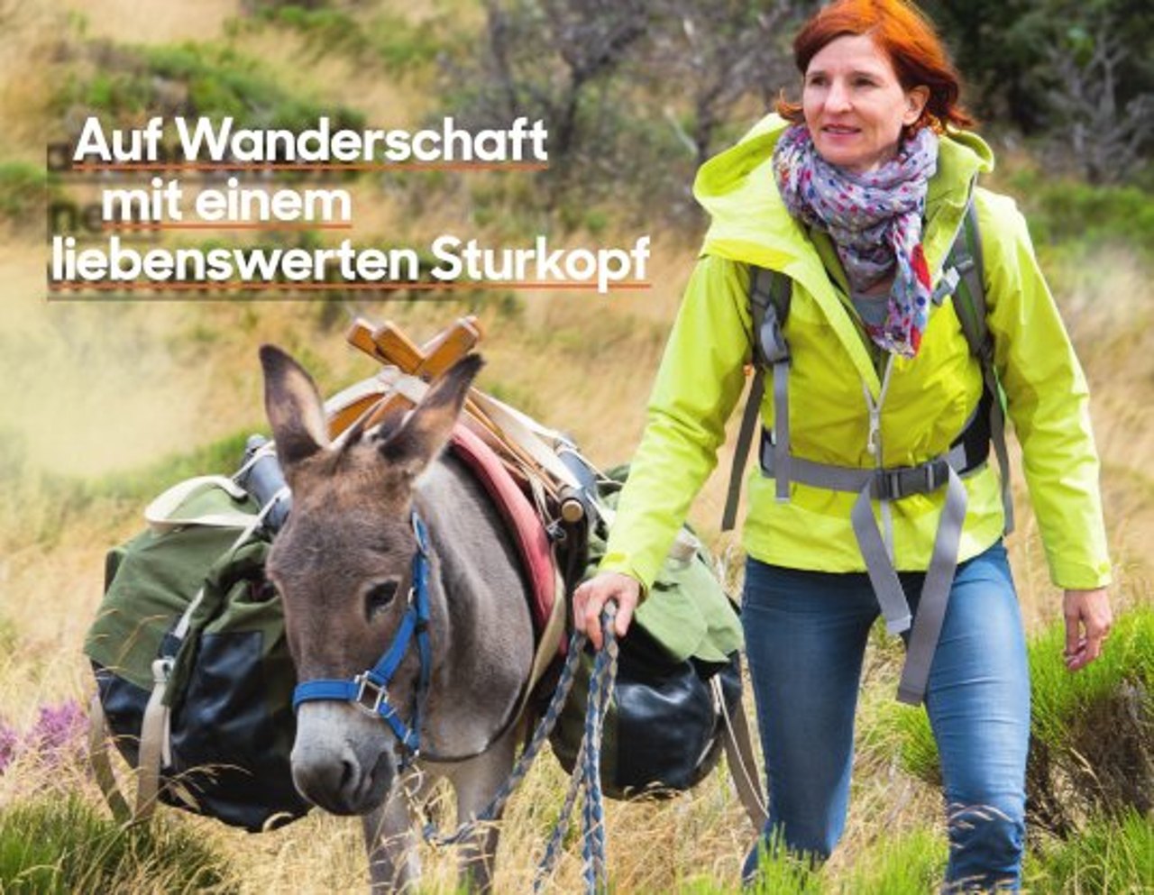 Auf Wanderschaft mit einem liebenswerten Sturkopf.