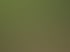 Steinpfad schlängelt sich durch dichte, grüne tropische Vegetation im Sonnenlicht.