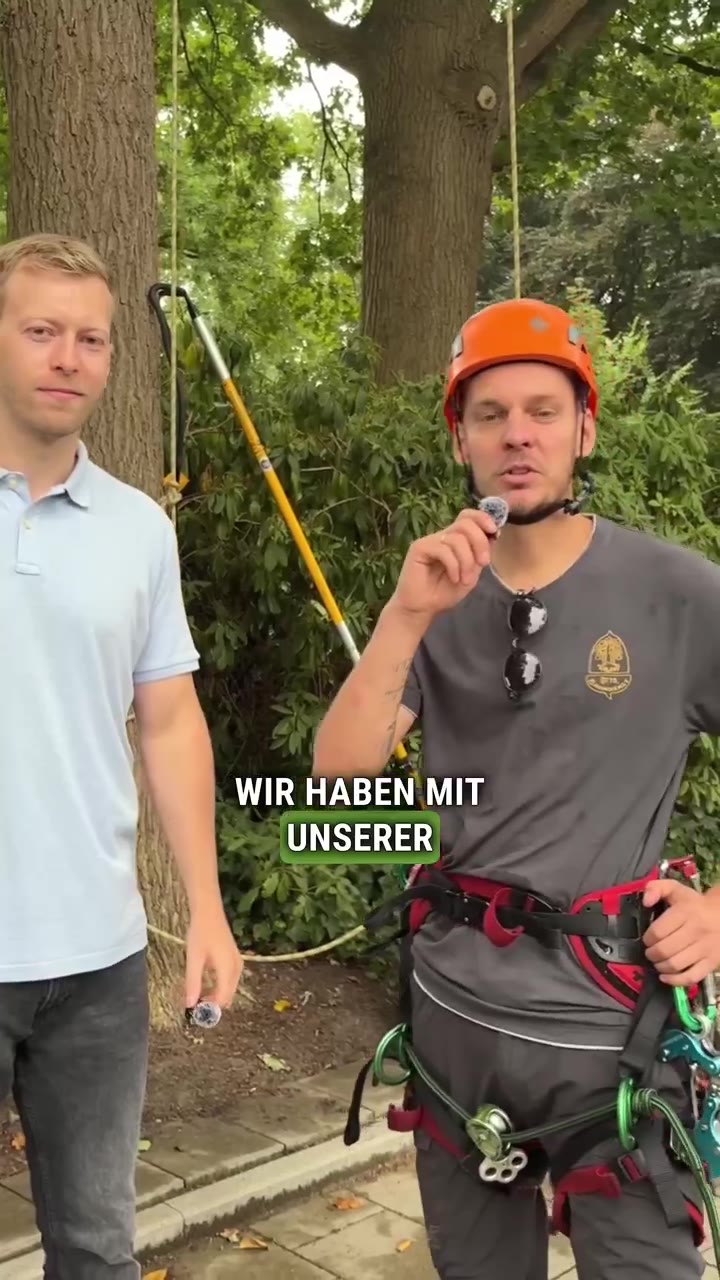 Kundeninterview mit Ottos Baumdienst