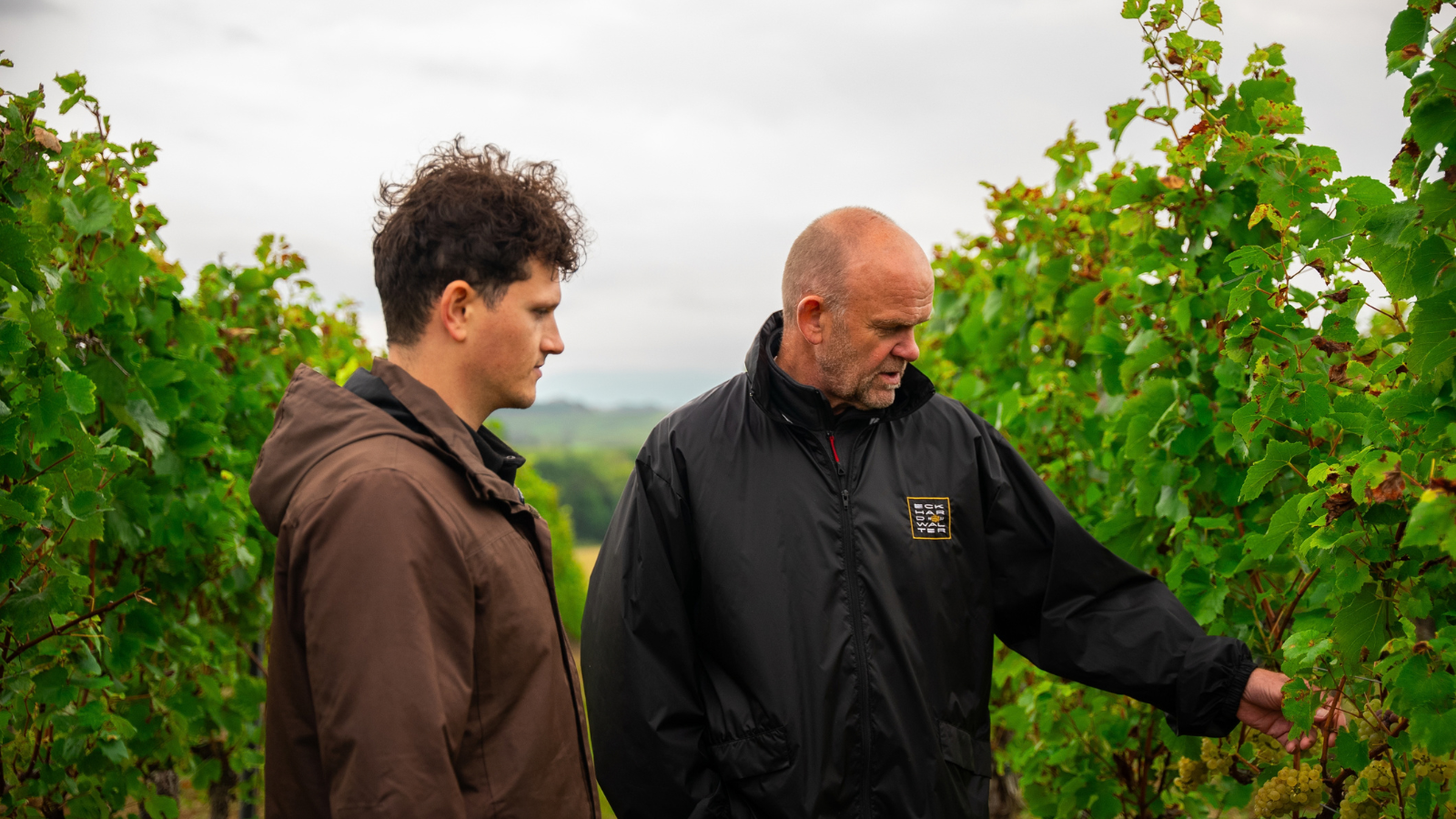 Foto Weingut Fritz Walter