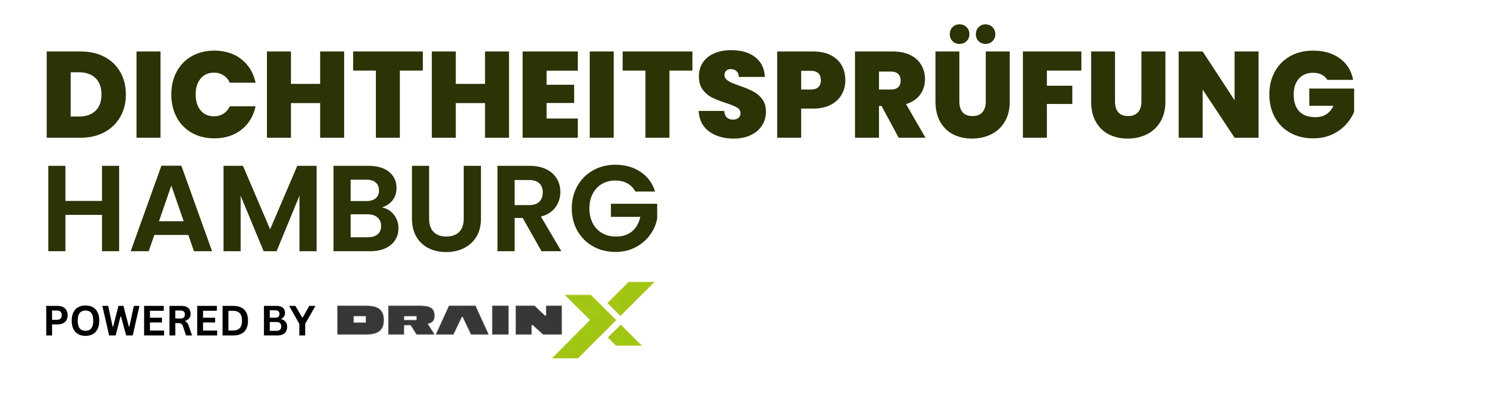 Dichtheitsprüfung Hamburg – DrainX Logo