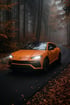 Orangefarbener Lamborghini Urus Performance Umbau im Wald - FAQ Bereich GG2