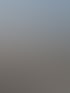 Visualisierung PINUS