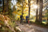 Zwei Mountainbiker fahren auf einem Waldweg mit Herbstlaub, die Sonne scheint durch die Bäume.