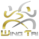 WINGTAI AKADEMIE