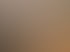 Ein heller Flur mit Parkettboden, einer geöffneten Tür, Zimmerpflanzen und einem Wandbild einer Hängebrücke im Nebel.
