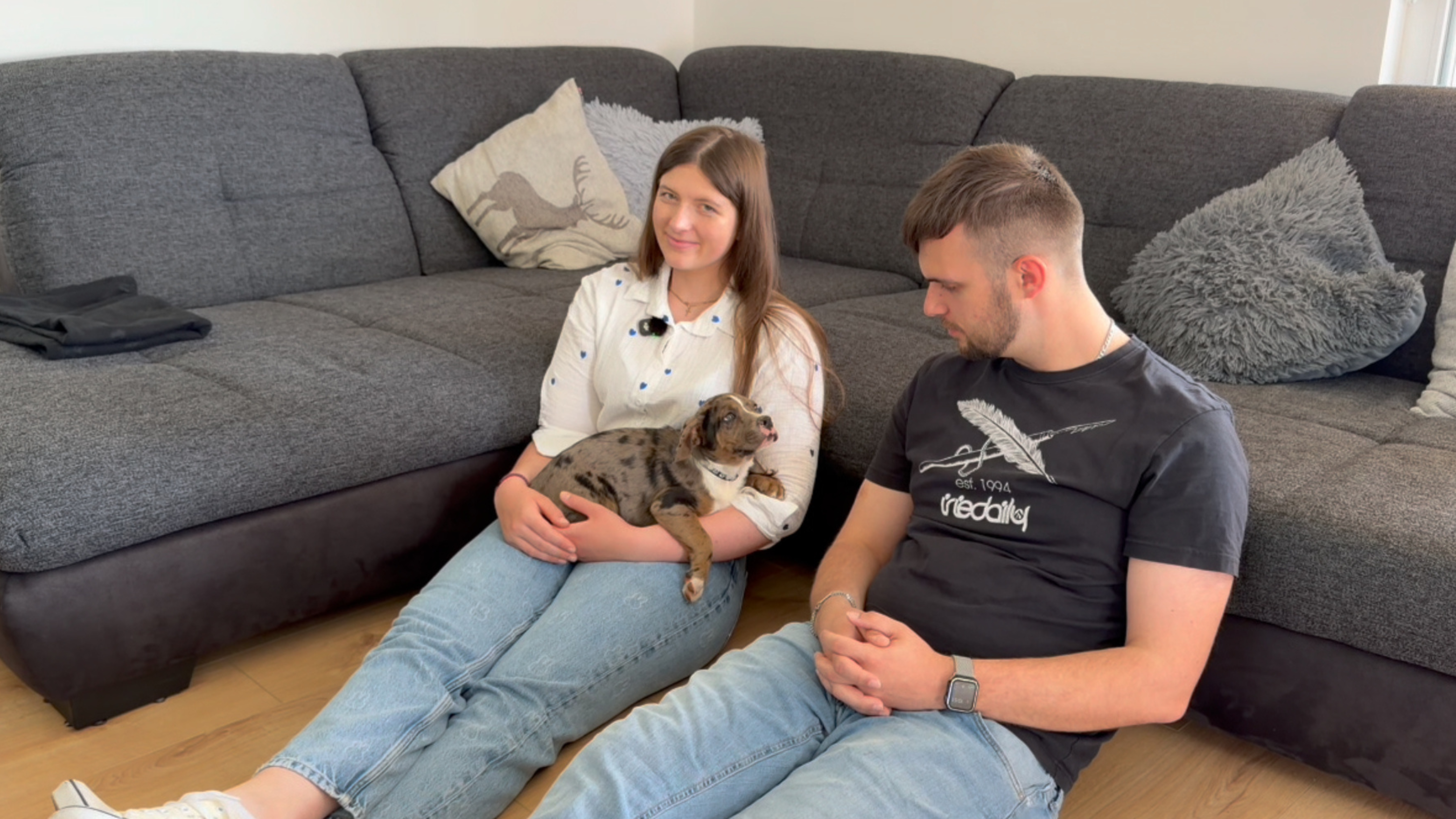 Die Welpenfamilie mit Bruce auf dem Sofa