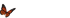 Logo von Malerische Orchideen, Netzwerk für kreative Wandgestaltung