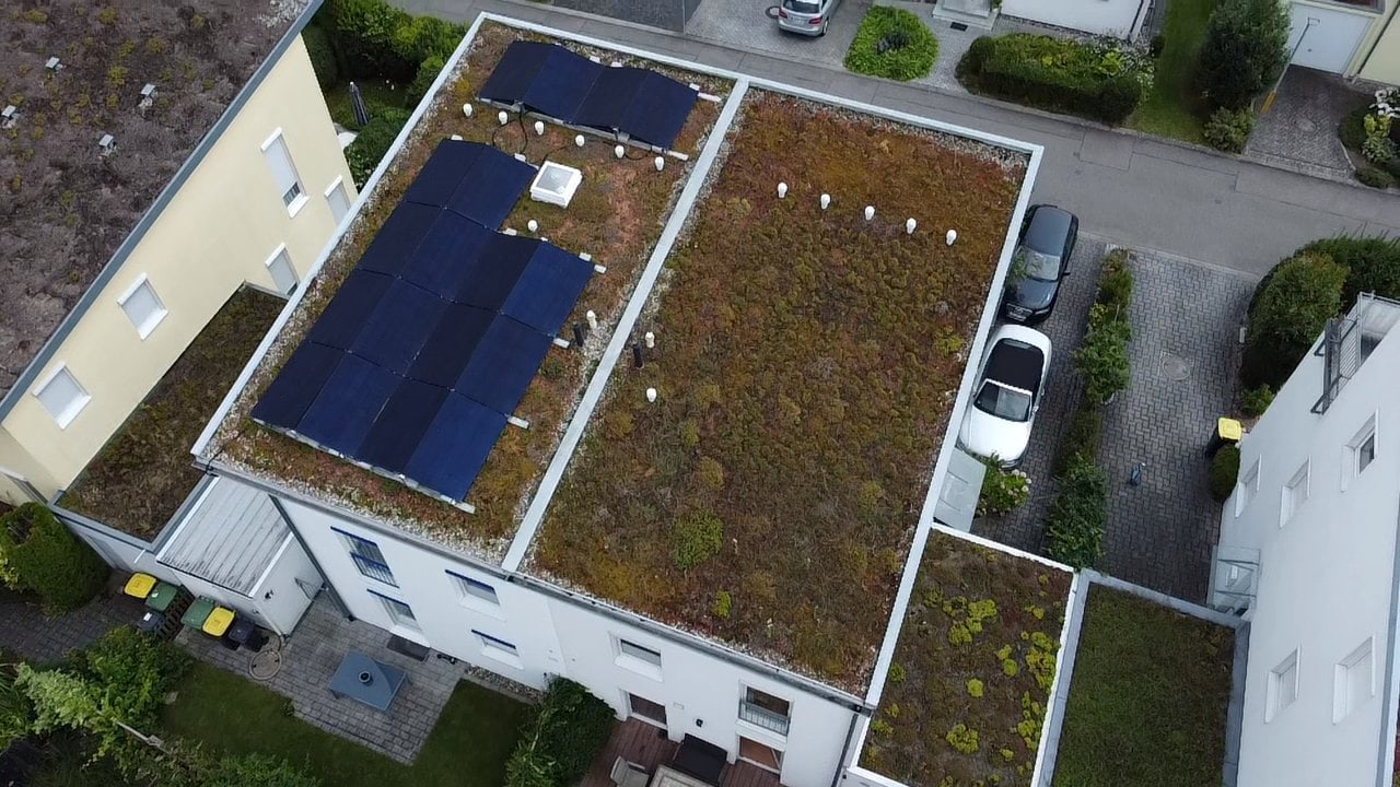 PV-Anlage auf einem Flachdach mit Gründach – Projekt von Deutsche Energie Partner