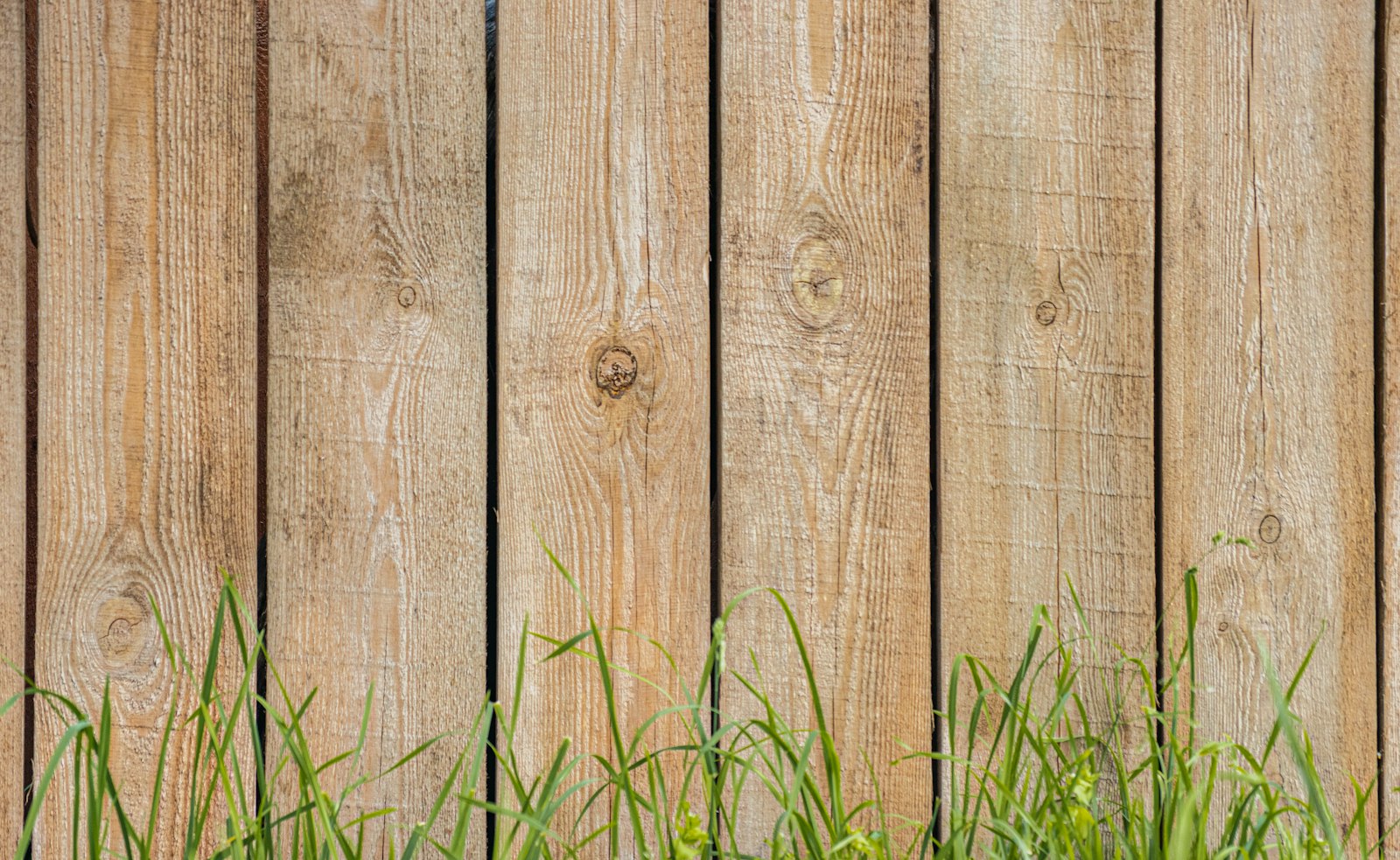 Cedar board-on-board privacy fence newly installed behind a Columbia, Maryland home