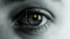 Close Up Auge ANimation