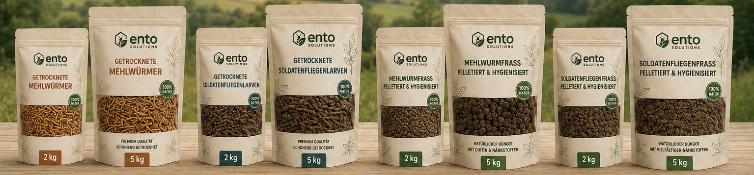 Konzeptvisualisierung möglicher Premiumprodukte und Verpackungsformate.