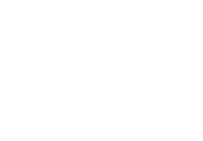 Logo Deutsche Stiftung Denkmalschutz