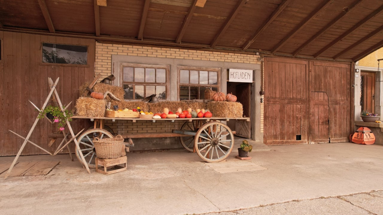 Eingang zum Hofladen Bsondrigs in Schwarzenbach LU: alter Holzwagen mit Hofprodukten vor der Scheune