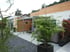 Moderne Terrasse mit Holzverkleidung, grauem Kiesbeet und Pflanzen in Töpfen, Pergola im Hintergrund.