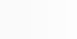 Kundenstimme über SPEEDSCALING