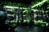 Fitnessstudio mit Kraftgeräten, Hanteln und grünen Pflanzenwänden, beleuchtet mit Neonlichtern.
