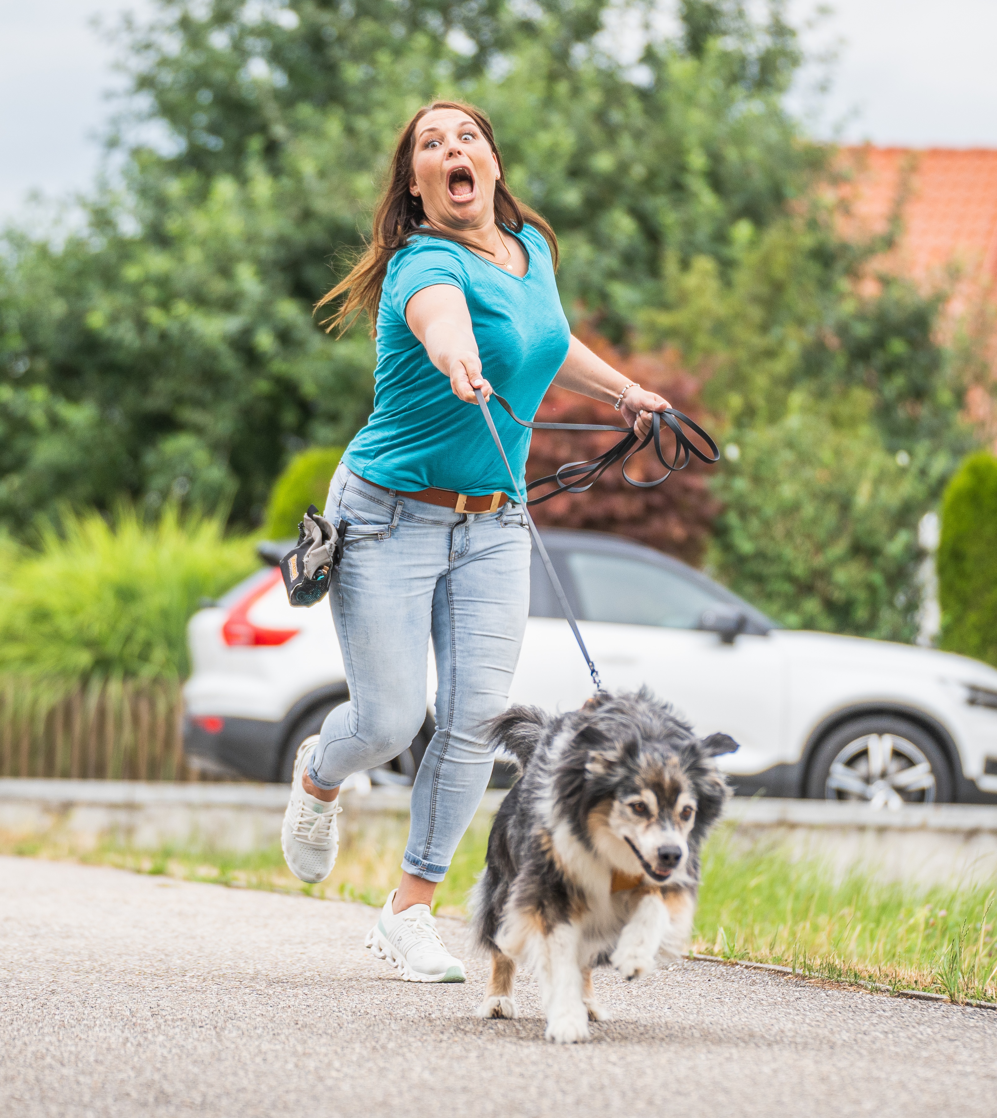 Hund im Alltag