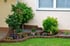 Gartenbeet mit Blumen, Sträuchern und kleinen Bäumen vor einer Hauswand mit Fenster.