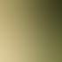 Grüne Blätter und ihre Schatten auf einer hellen, strukturierten Wand bei Sonnenlicht.