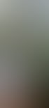 Ein Laptop auf einem runden Holztisch vor einem großen Fenster mit Blick auf grüne Bäume im Wald.