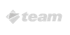 Graues Logo mit drei stilisierten Dreiecken links und dem Wort "team" rechts.