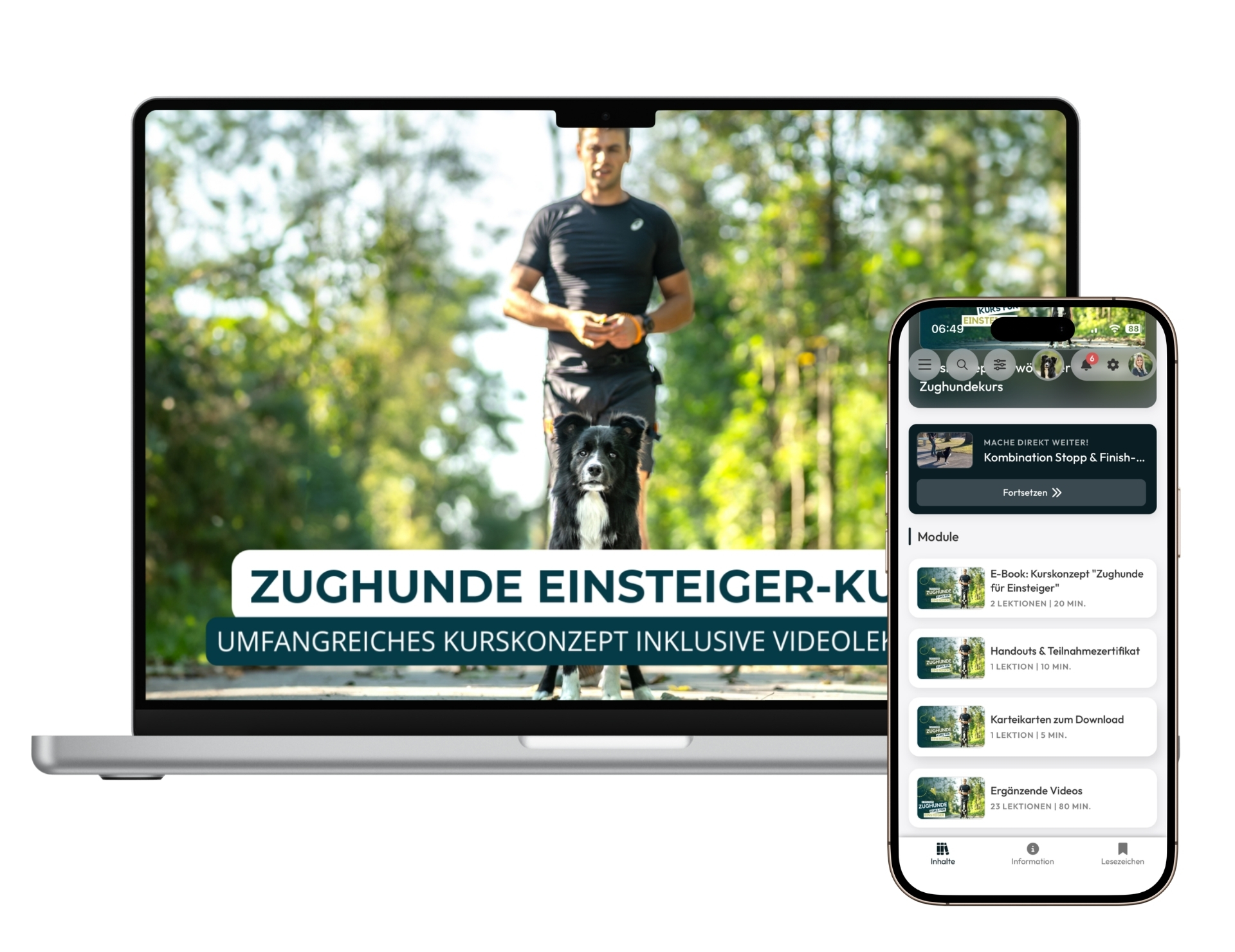 8-wöchiger Zughunde Einsteiger Kurs – Bild 1