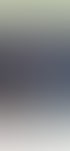 BULA Startseite mobil vor dem Redesign