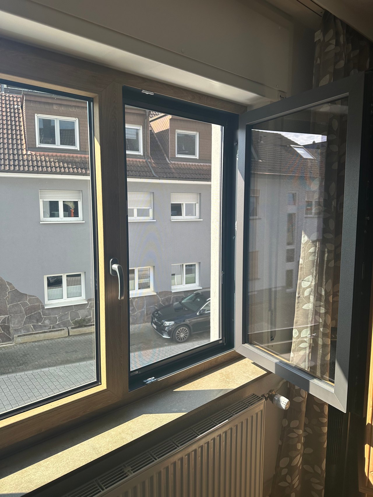 Insektenschutz, Fenster