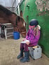Ein Mädchen in Reitkleidung sitzt auf einer Putzbox und schreibt, während ein braunes Pferd neugierig zu ihr herunterschaut.