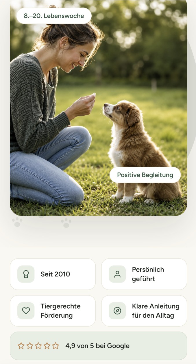 Webseiten-Vorschau Mobile