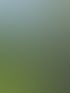 Heckenschnitt in Zürich und Umgebung | Botanica Greiner