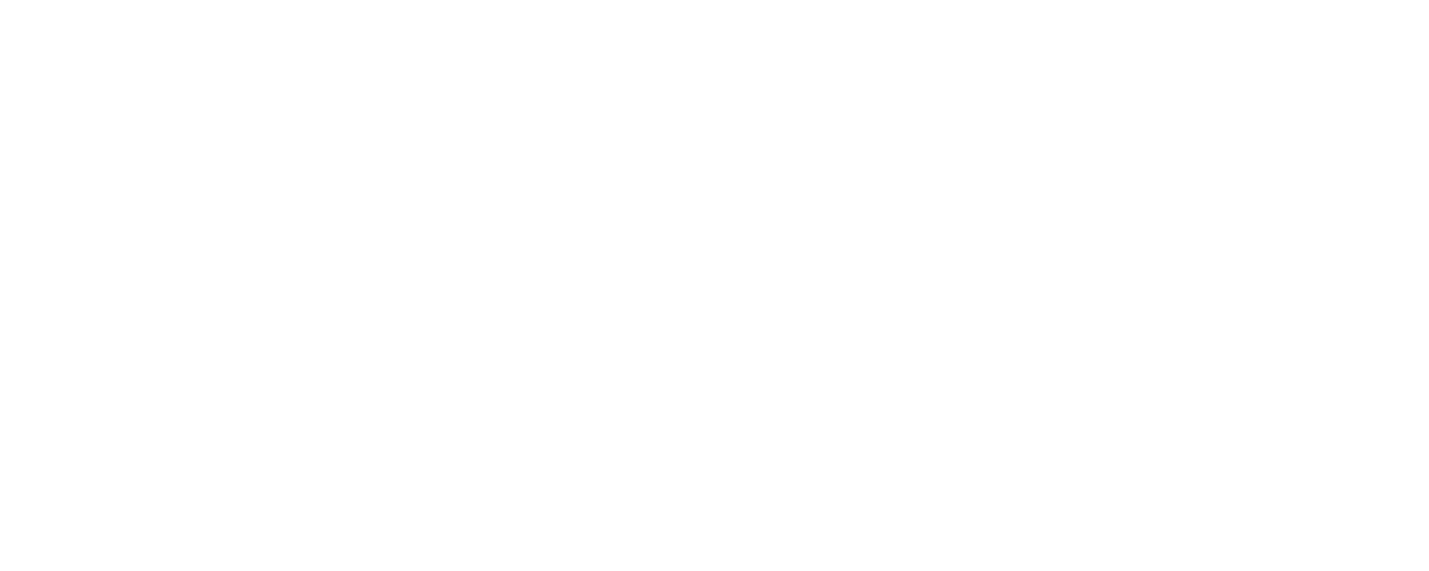 Dreamteam GmbH Logo — Referenz Werbefotografie Veropalumbo Studio