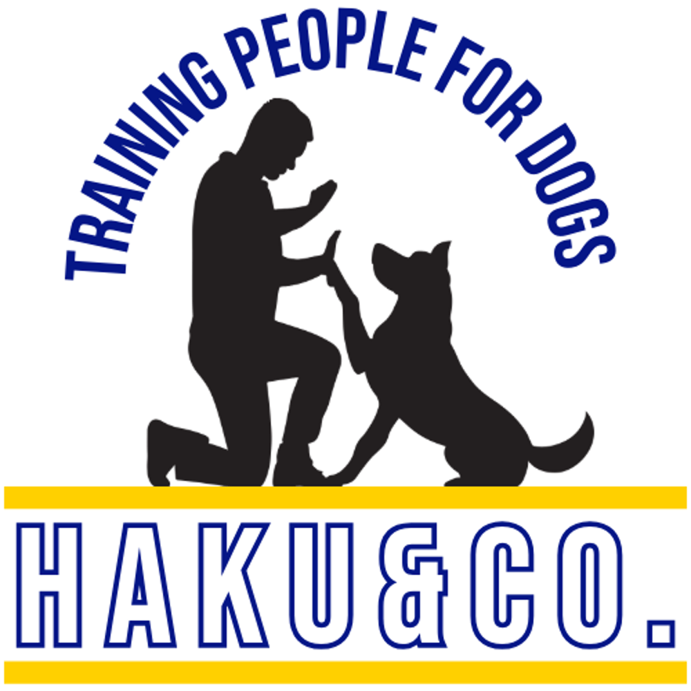 Hundetrainer mit Hund schlagen ein, Schriftzug "TRAINING PEOPLE FOR DOGS" und "HAKU & CO."