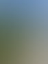 Heckenschnitt in Zürich und Umgebung | Botanica Greiner