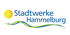 Logo Stadtwerke Hammelburg mit gelbem Kreis und blauen/grünen Wellenlinien.